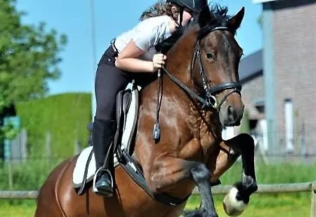 Hof Van Lier