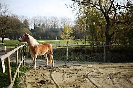 Bed & Breakfast Hof Van Lier